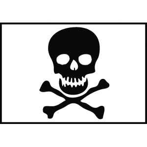13-PirateFlag.png