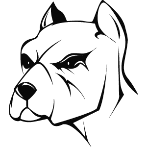 23-PitBull.png