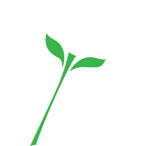 58-Rose2_color2.png