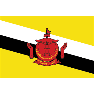 brunei.png